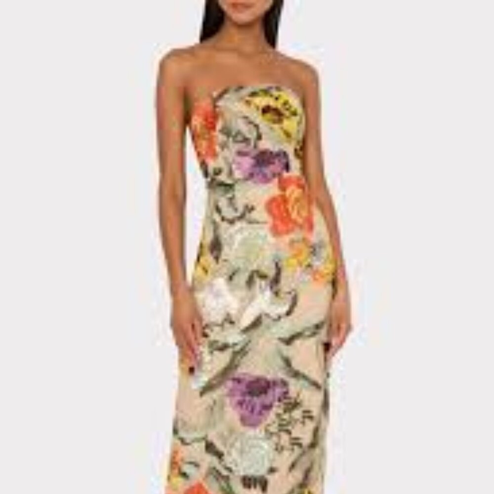 Shiloh Embroidered Midi Dress, Size 2, New, Never Worn, No Tags